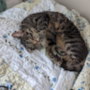 Meet your Posher, Haddy